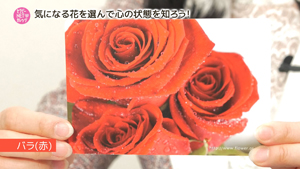 青山克子の「花セラピー体験講座〜お花で自分探し〜」