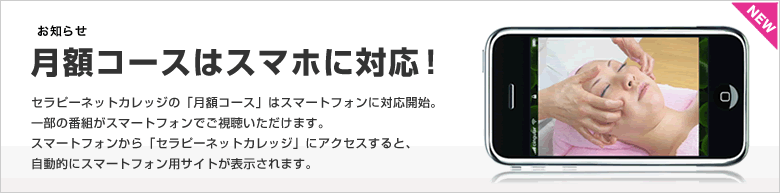 スマートフォンに対応開始