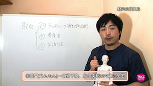 石垣英俊の「経絡・経穴のメカニズム」