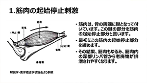 授業風景