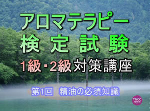 授業風景