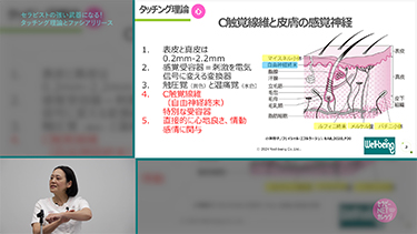 小澤智子のセラピストの強い武器になる！タッチング理論とファシアリリース